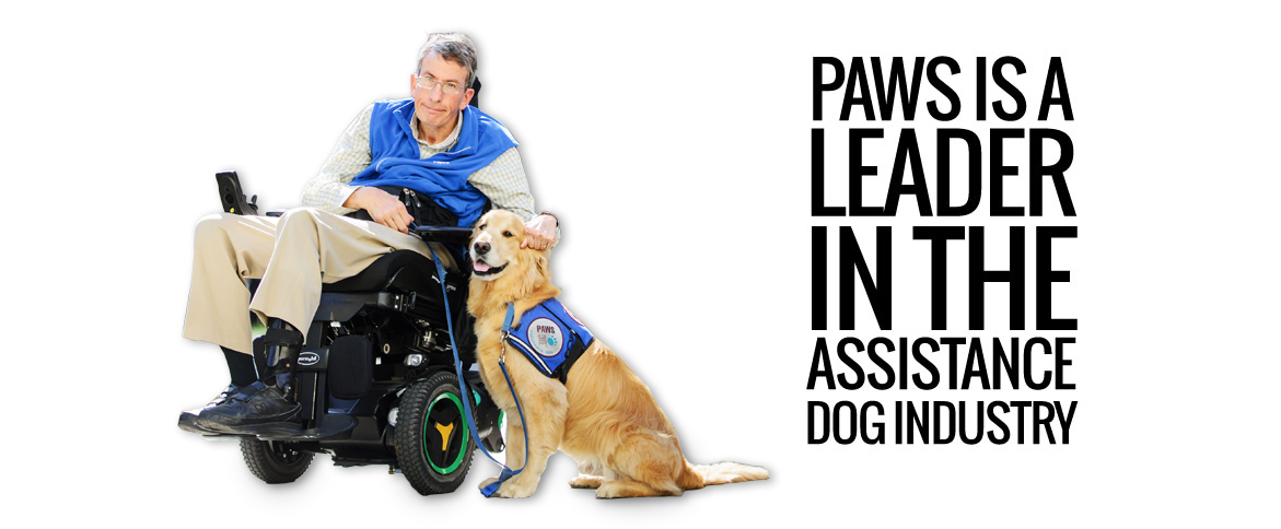 200211 PAWS-Banner-Mission3